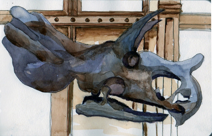 20140126_triceratop